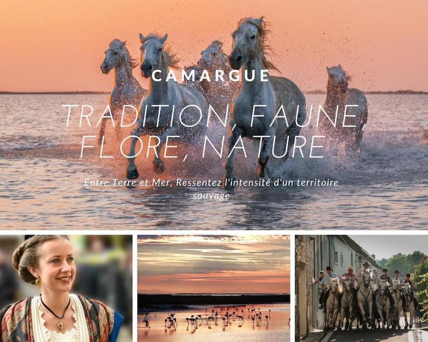 Le Nautilus Proche Plage Clim Parking Prive Wifi Proche Montpellier Carnon-Plage Eksteriør billede